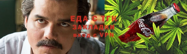 индика Заводоуковск
