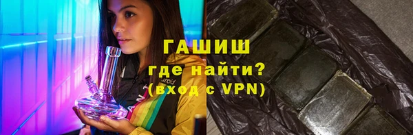 индика Заводоуковск