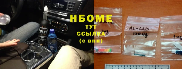 индика Заводоуковск