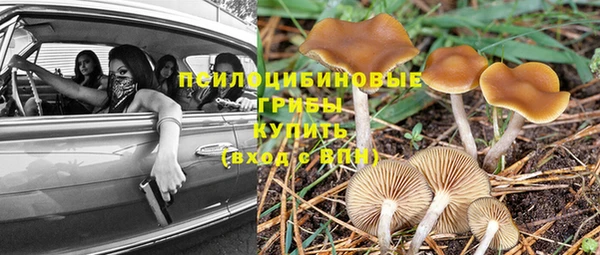 дживик Заволжск