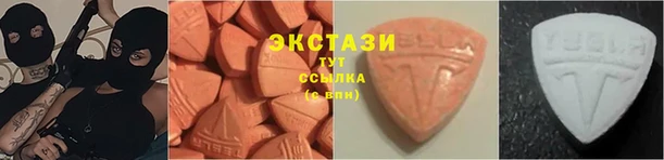 индика Заводоуковск