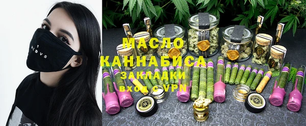 индика Заводоуковск