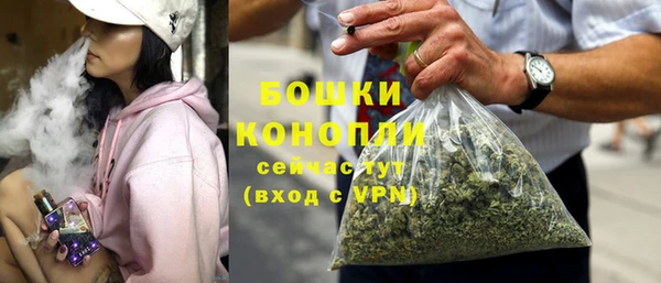 индика Заводоуковск