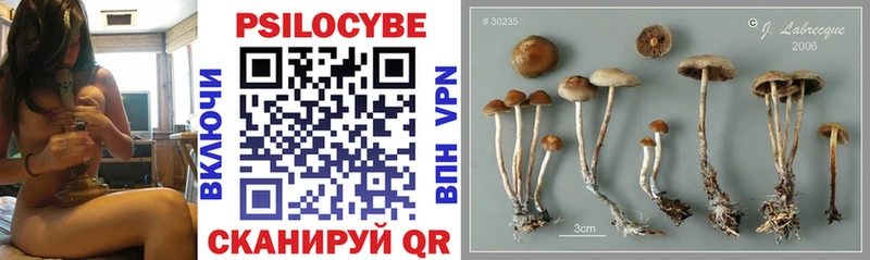 Псилоцибиновые грибы GOLDEN TEACHER  Купить  Байкальск 